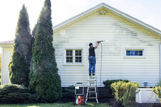 Professional Pressure Washing Services in Ferndale, WA